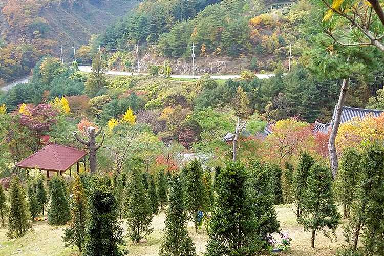 홍천군 수목장 상담 후기- 납골당 분양, 수목장/추모공원 안내, 가격비교,