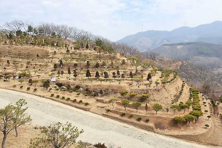 공주 납골당, 위치 및 비용 상담비교