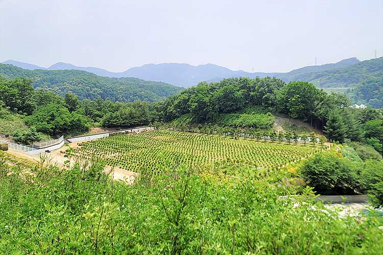 광주시 수목장 분양 안내- 납골당 분양, 수목장/추모공원 안내, 가격비교,