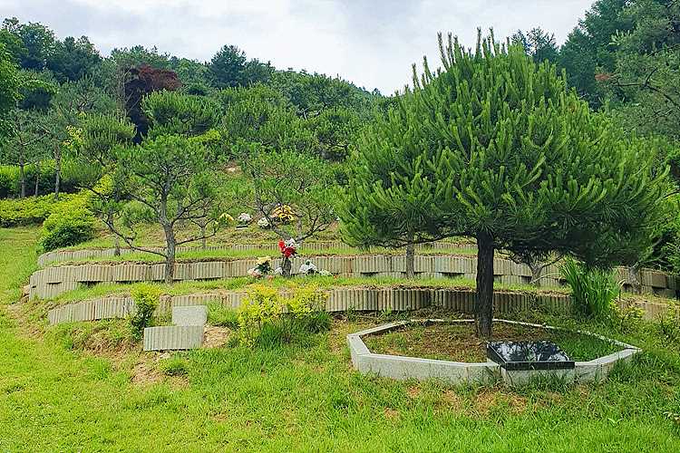홍천군 수목장 상담 후기- 납골당 분양, 수목장/추모공원 안내, 가격비교,