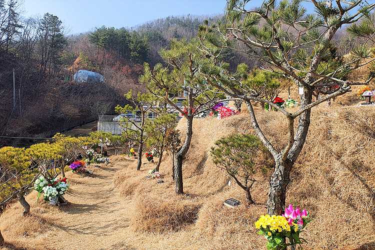 공주 납골당, 위치 및 비용 상담비교
