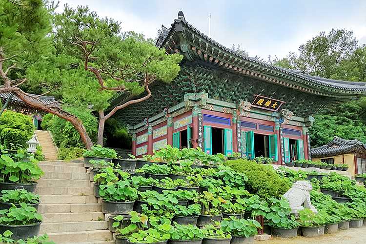 서대문 납골당, 위치 및 비용 상담비교