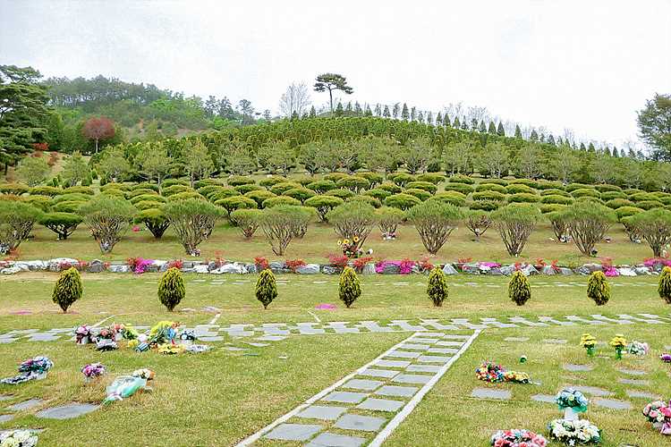 서안성수목장 가격 비교 및 추천, 안성 납골당