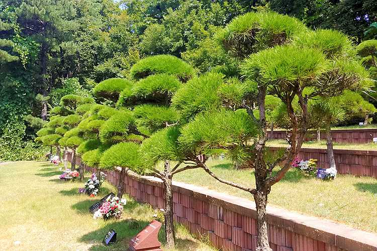 용인수목장림 가격 비교 및 추천, 용인 납골당