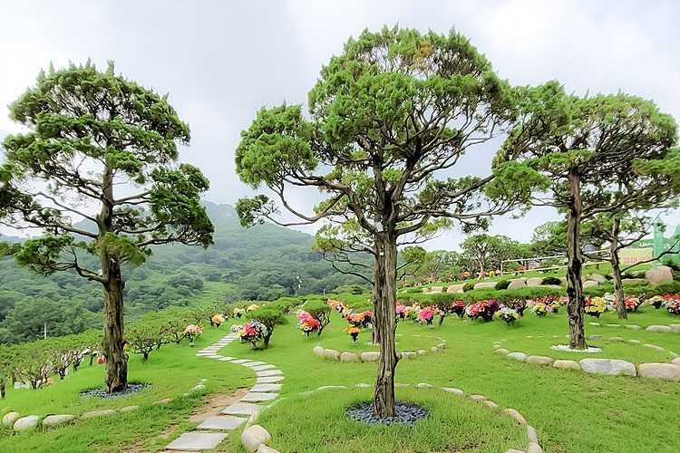 양주수목장 가격 비교 및 추천, 양주 납골당