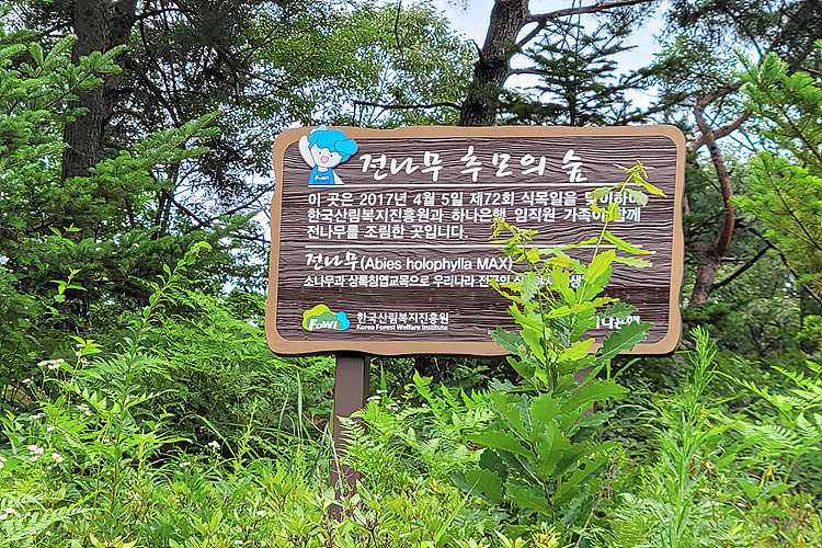양평 납골당, 위치 및 비용 상담비교