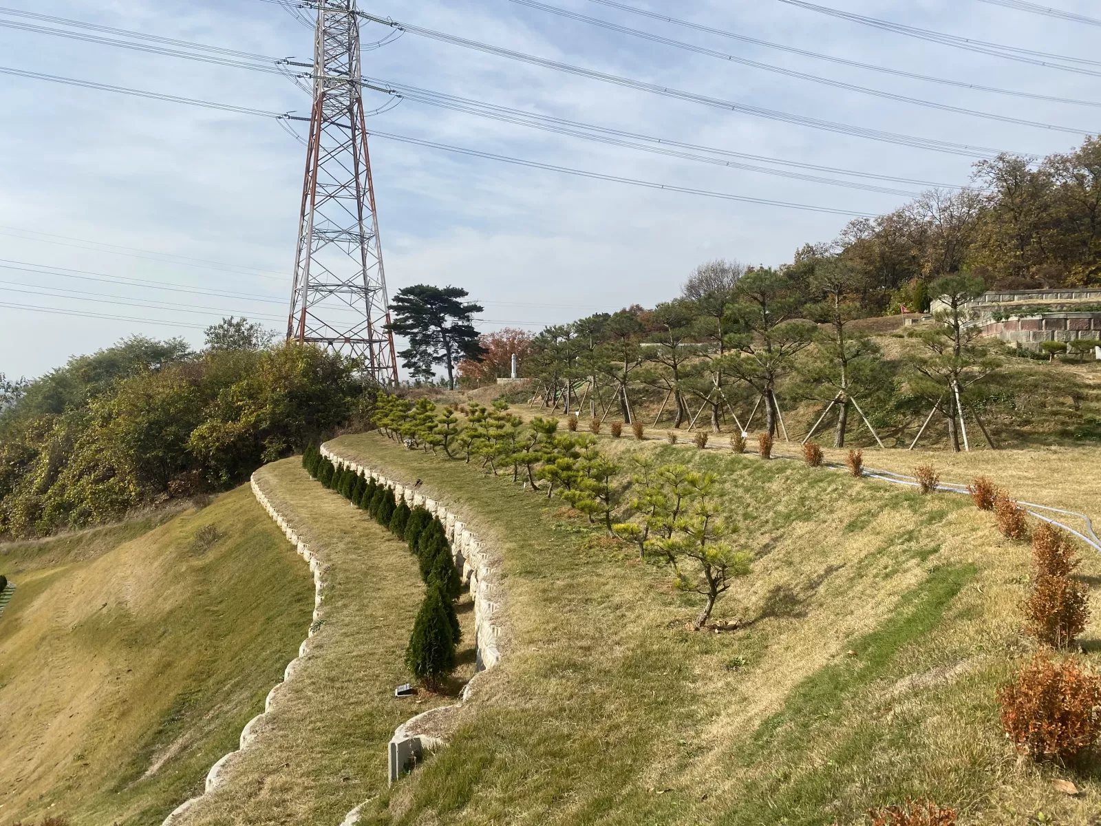 화성 나래 수목장, 화성나래원 납골당 가격, 위치 상담 - 납골당 분양, 수목장/추모공원 안내, 가격비교