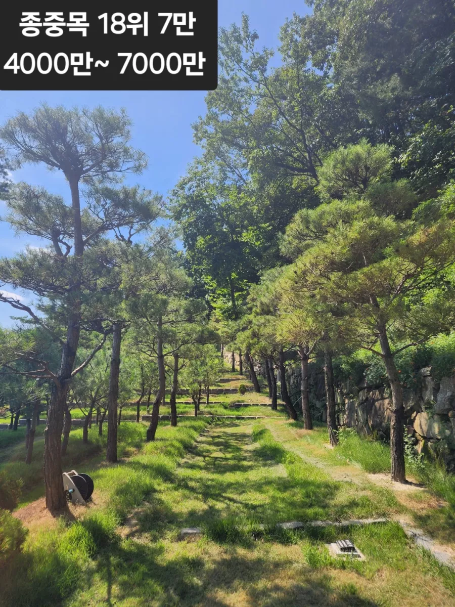 남양주 수목장, 무량수목장 납골당 가격, 위치 상담 - 납골당 분양, 수목장/추모공원 안내, 가격비교