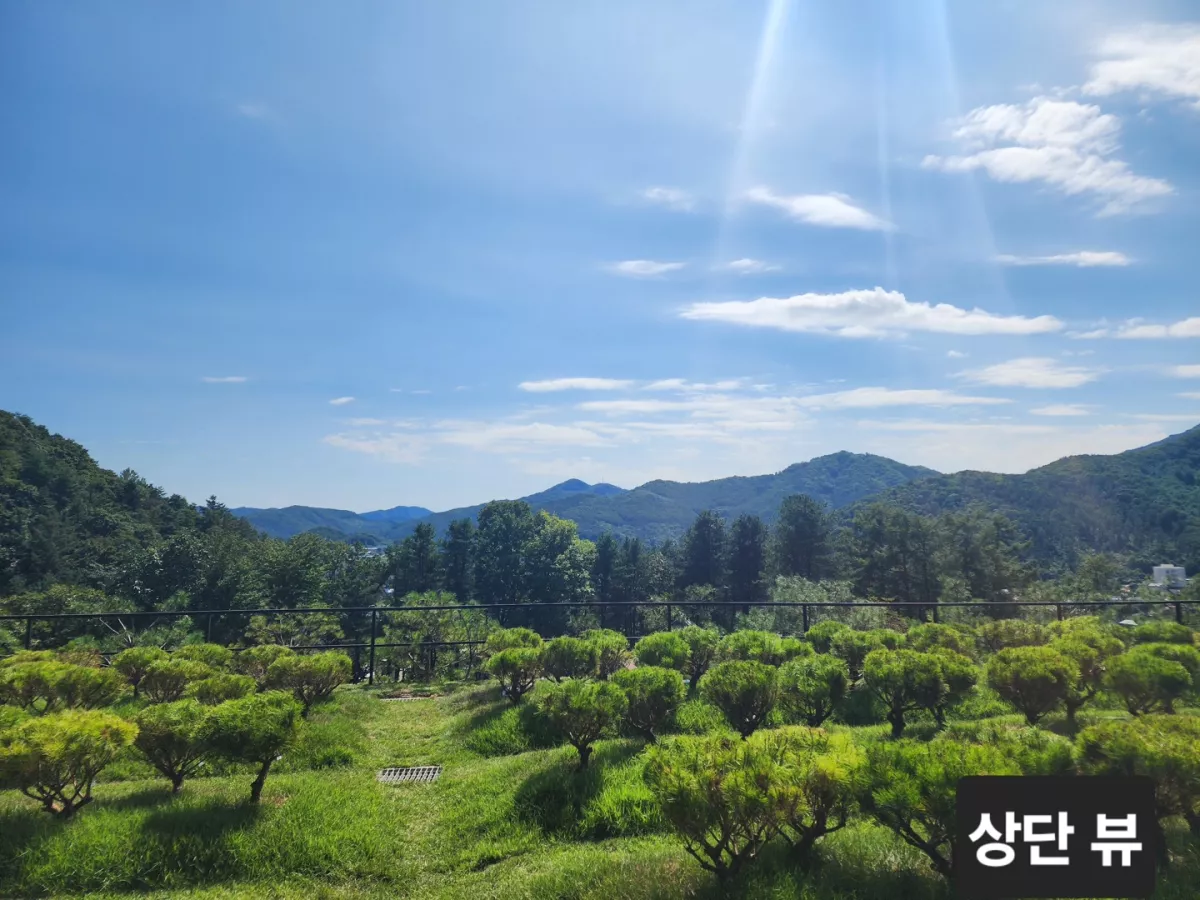 남양주 수목장, 무량수목장 납골당 가격, 위치 상담 - 납골당 분양, 수목장/추모공원 안내, 가격비교