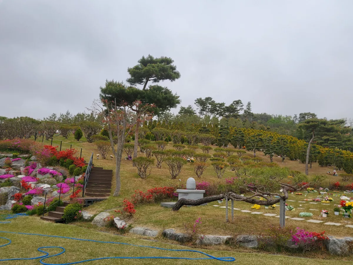 안성 수목장, 에버그린수목장 납골당 가격, 위치 상담 - 납골당 분양, 수목장/추모공원 안내, 가격비교