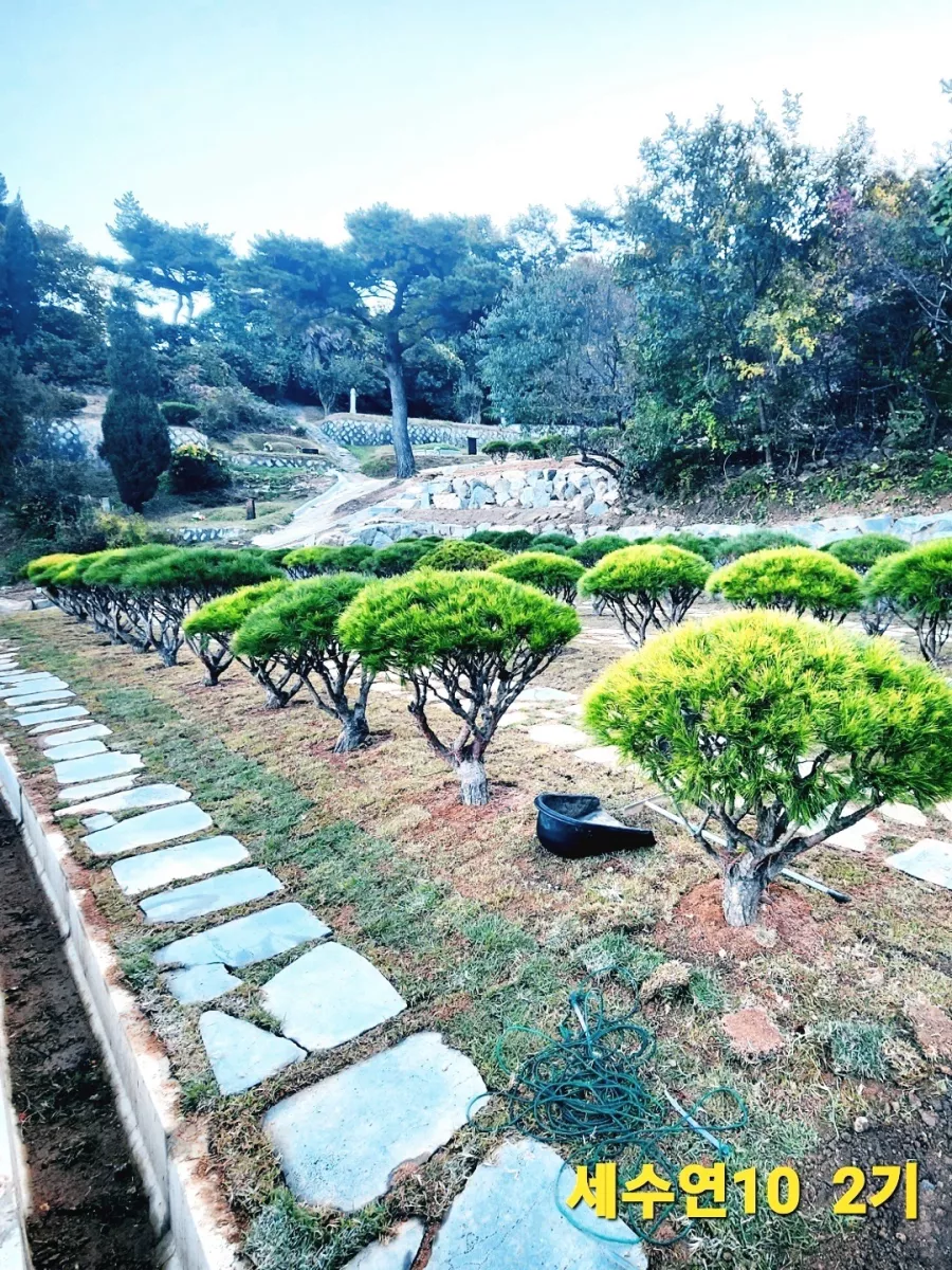 용인 공원 수목장, 용인공원 납골당 가격, 위치 상담 - 납골당 분양, 수목장/추모공원 안내, 가격비교