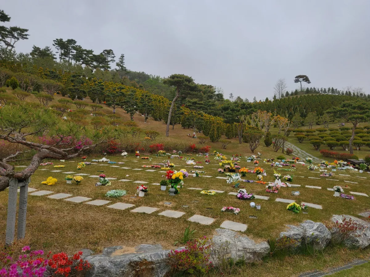 안성 수목장, 에버그린수목장 납골당 가격, 위치 상담 - 납골당 분양, 수목장/추모공원 안내, 가격비교