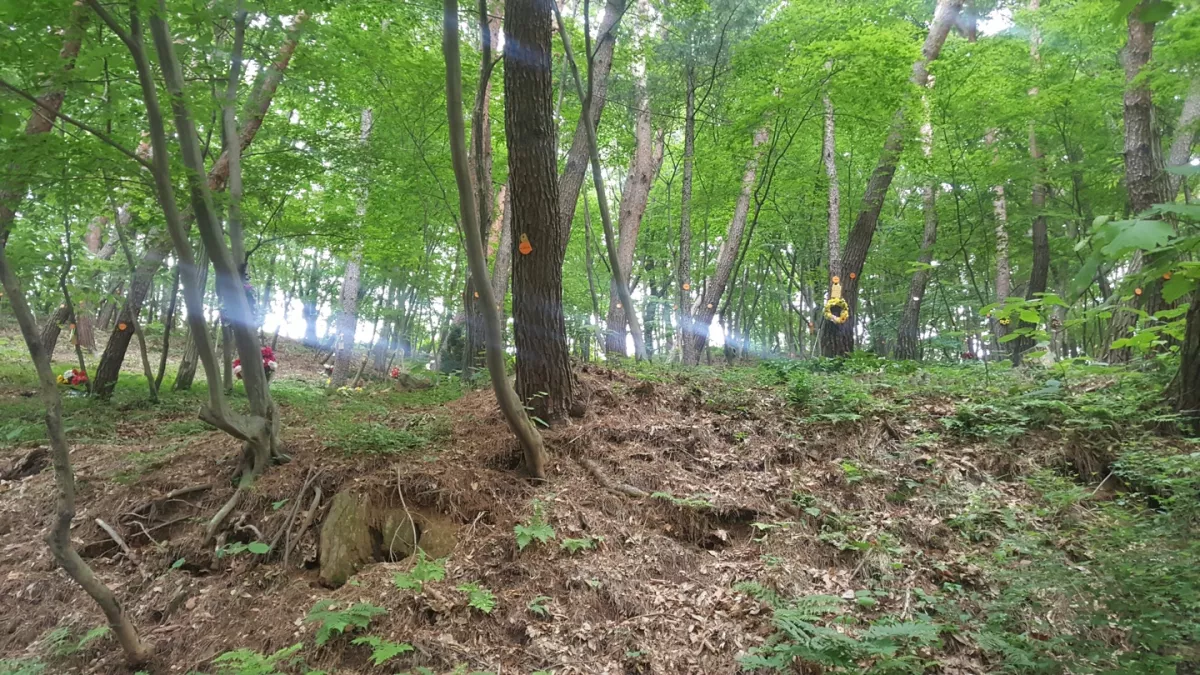포천 수목장, 광릉추모공원,더크레스트 납골당 가격, 위치 상담 - 납골당 분양, 수목장/추모공원 안내, 가격비교