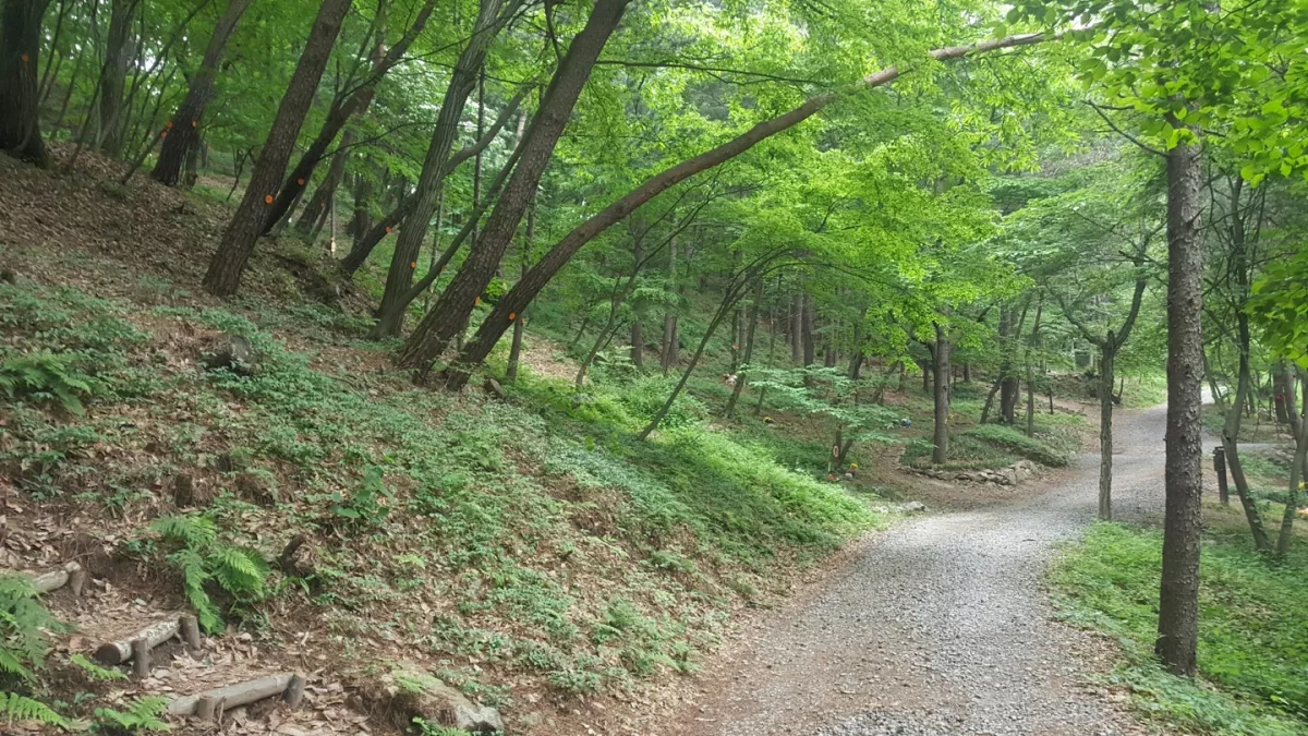 포천 수목장, 광릉추모공원,더크레스트 납골당 가격, 위치 상담 - 납골당 분양, 수목장/추모공원 안내, 가격비교