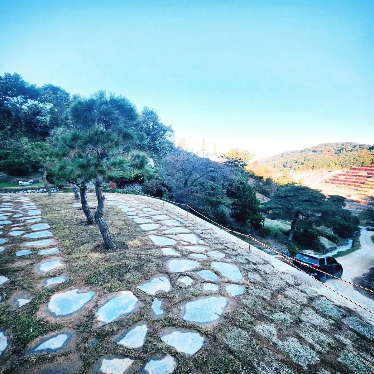 용인 공원 수목장, 용인공원 납골당 가격, 위치 상담 - 납골당 분양, 수목장/추모공원 안내, 가격비교