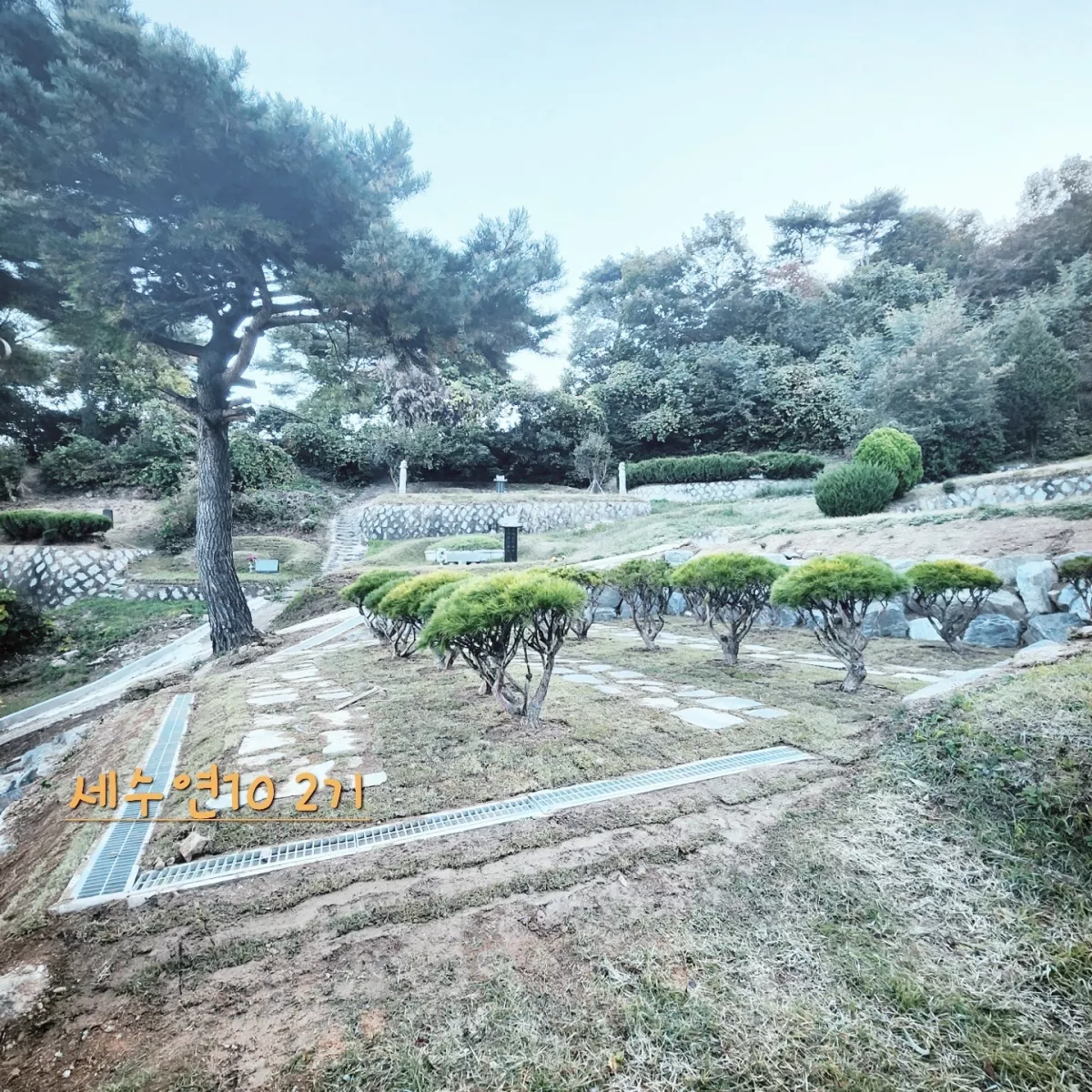 용인 공원 수목장, 용인공원 납골당 가격, 위치 상담 - 납골당 분양, 수목장/추모공원 안내, 가격비교
