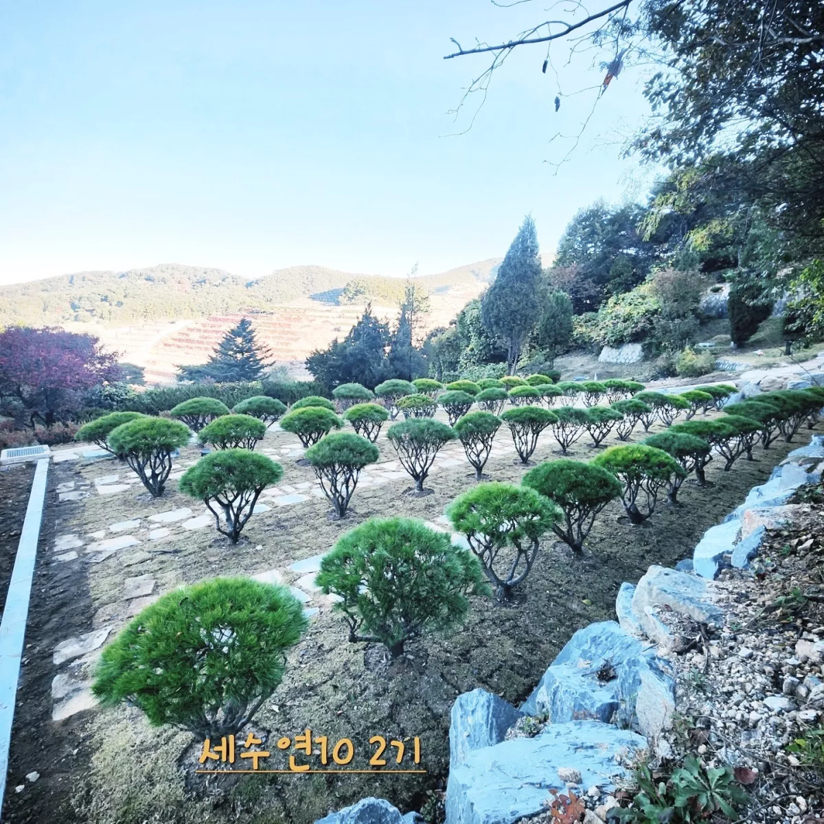 용인 공원 수목장, 용인공원 납골당 가격, 위치 상담 - 납골당 분양, 수목장/추모공원 안내, 가격비교