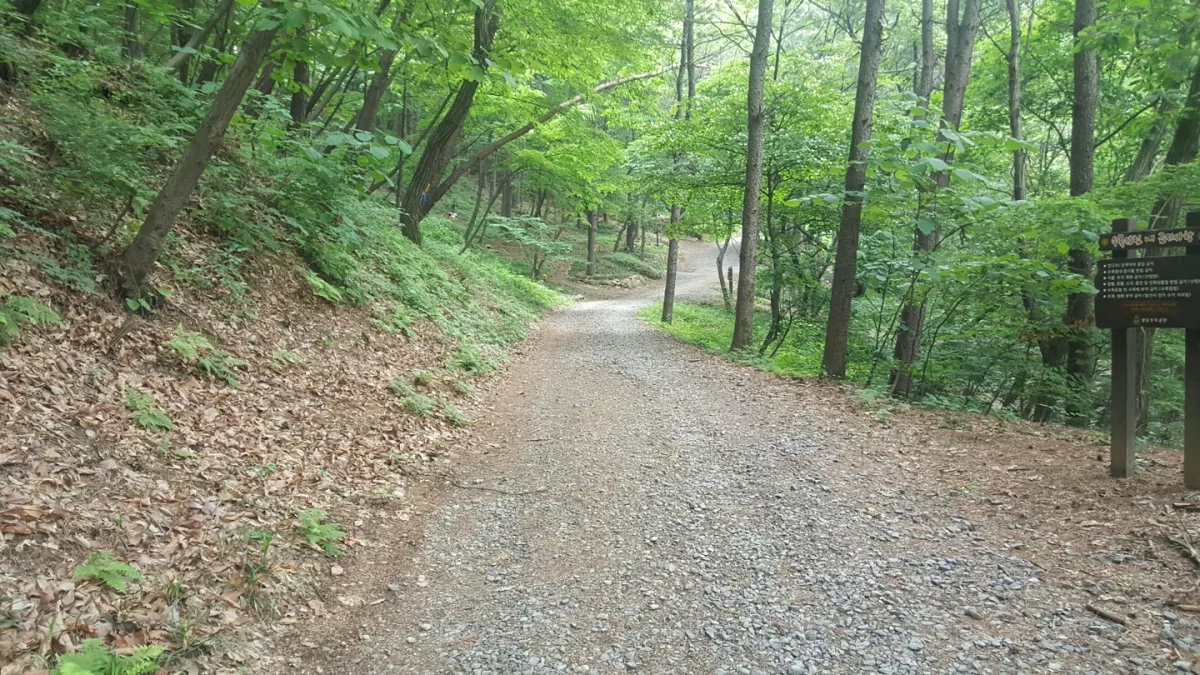 포천시 수목장 납골당 안내 - 납골당 분양, 수목장/추모공원 안내, 가격비교