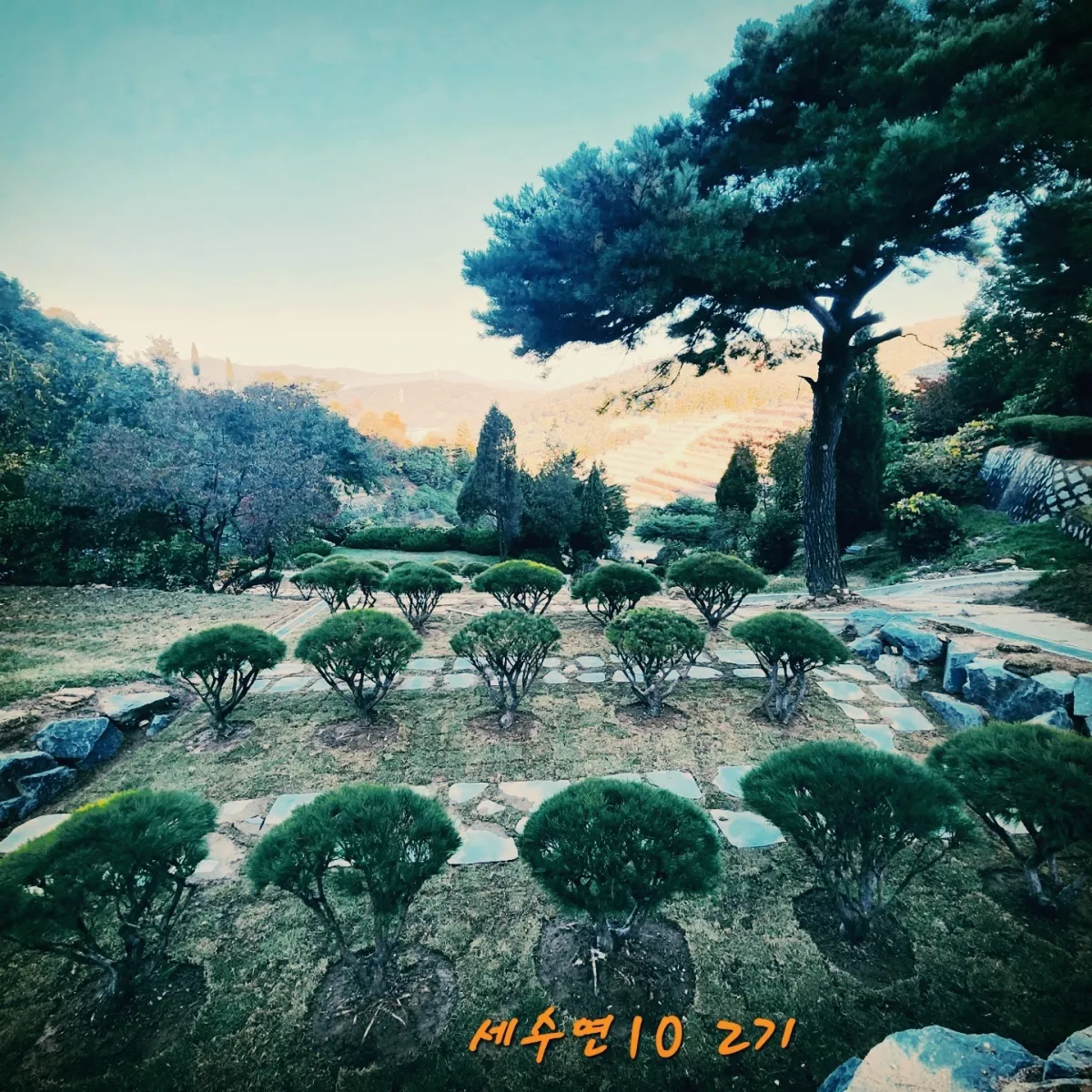 용인 공원 수목장, 용인공원 납골당 가격, 위치 상담 - 납골당 분양, 수목장/추모공원 안내, 가격비교