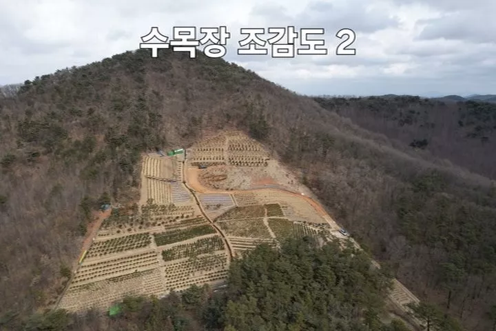 김포 수목장, 청솔수목장 납골당 가격, 위치 상담 - 납골당 분양, 수목장/추모공원 안내, 가격비교