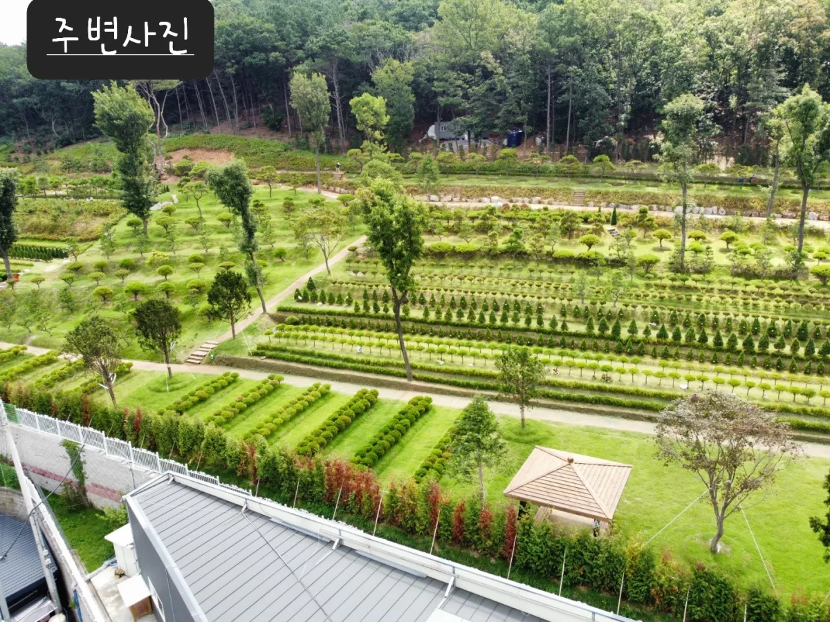 고양 수목장, 자연애숲수목장 납골당 가격, 위치 상담 - 납골당 분양, 수목장/추모공원 안내, 가격비교