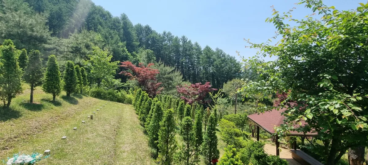 홍천 수목장, 천봉수목공원 납골당 가격, 위치 상담 - 납골당 분양, 수목장/추모공원 안내, 가격비교