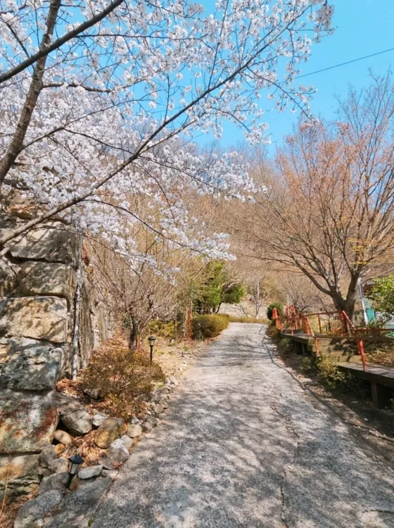 달성 봉안당, 덕안사 납골당 가격, 위치 상담 - 납골당 분양, 수목장/추모공원 안내, 가격비교