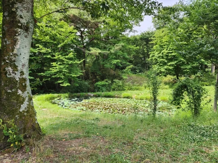 달성 수목장, 남지장사 납골당 가격, 위치 상담 - 납골당 분양, 수목장/추모공원 안내, 가격비교