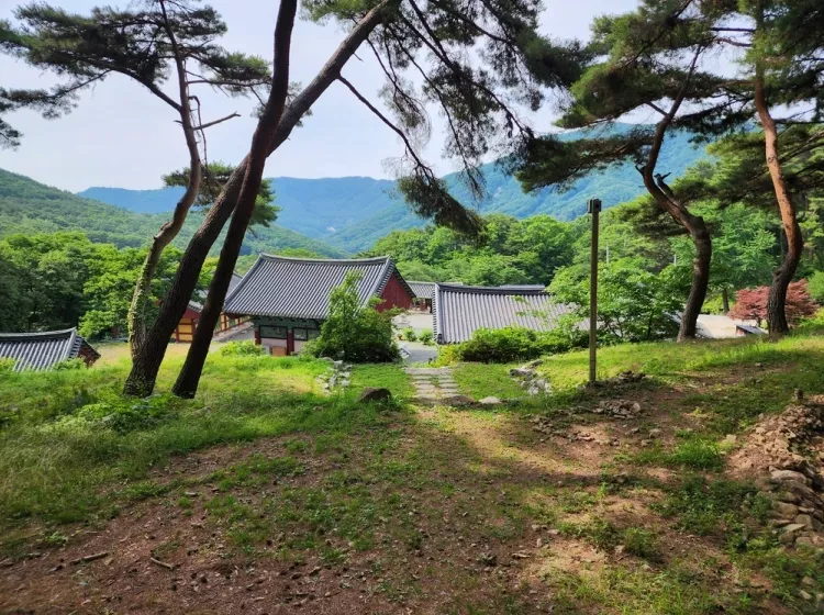 달성 수목장, 남지장사 납골당 가격, 위치 상담 - 납골당 분양, 수목장/추모공원 안내, 가격비교