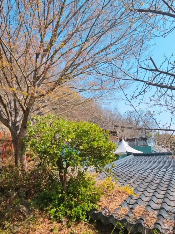 달성 봉안당, 덕안사 납골당 가격, 위치 상담 - 납골당 분양, 수목장/추모공원 안내, 가격비교