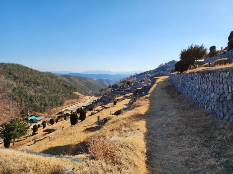 칠곡 수목장, 조양공원 납골당 가격, 위치 상담 - 납골당 분양, 수목장/추모공원 안내, 가격비교