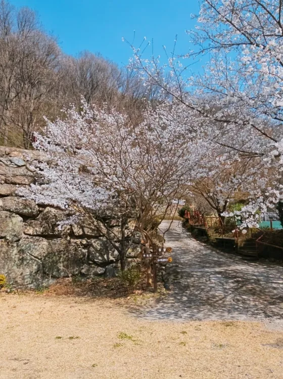 달성 봉안당, 덕안사 납골당 가격, 위치 상담 - 납골당 분양, 수목장/추모공원 안내, 가격비교