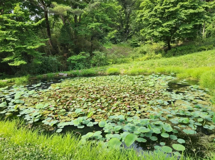 달성 수목장, 남지장사 납골당 가격, 위치 상담 - 납골당 분양, 수목장/추모공원 안내, 가격비교