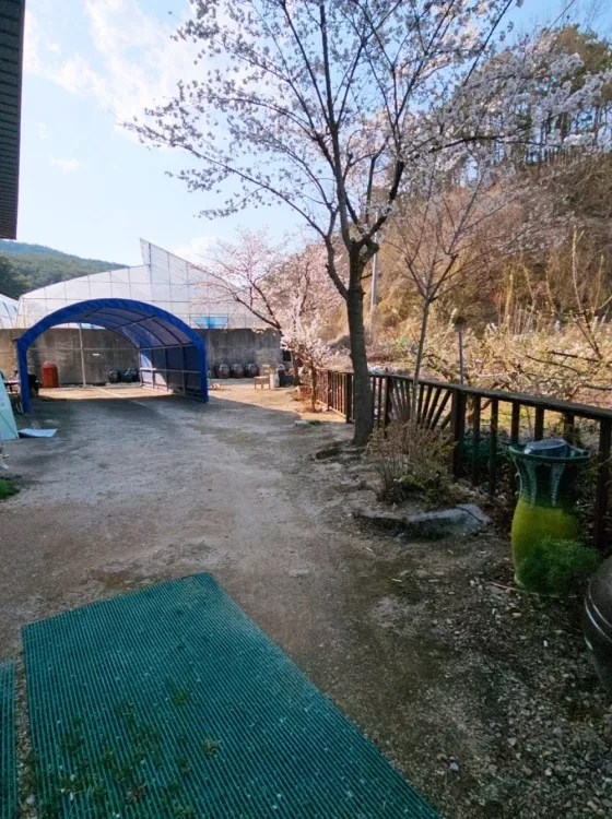 군위 실로암 봉안당, 실로암추모관 납골당 가격, 위치 상담 - 납골당 분양, 수목장/추모공원 안내, 가격비교