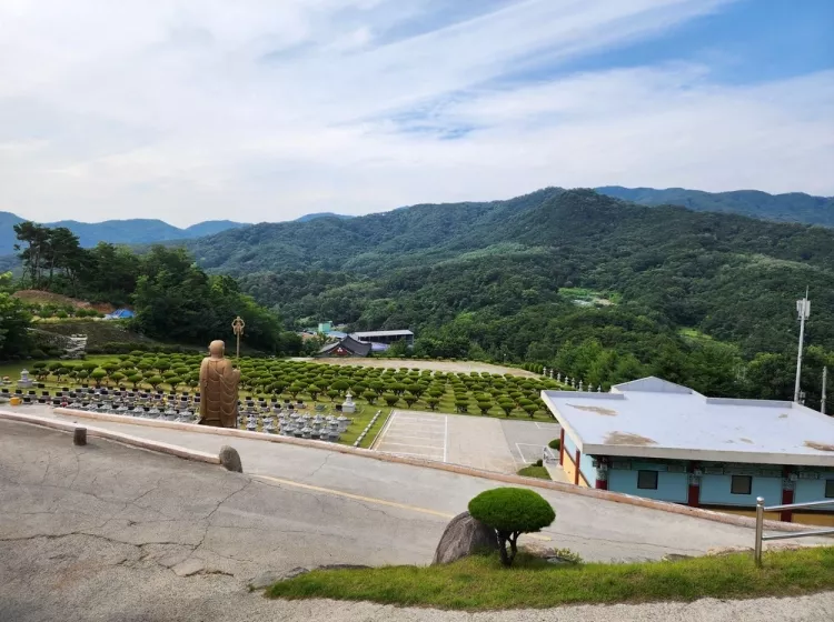 성주 불교 수목장, 삼광사 납골당 가격, 위치 상담 - 납골당 분양, 수목장/추모공원 안내, 가격비교