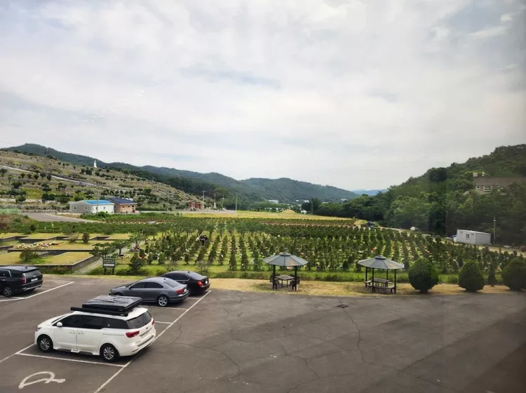 성주 남양 수목장, 남양공원묘원 납골당 가격, 위치 상담 - 납골당 분양, 수목장/추모공원 안내, 가격비교