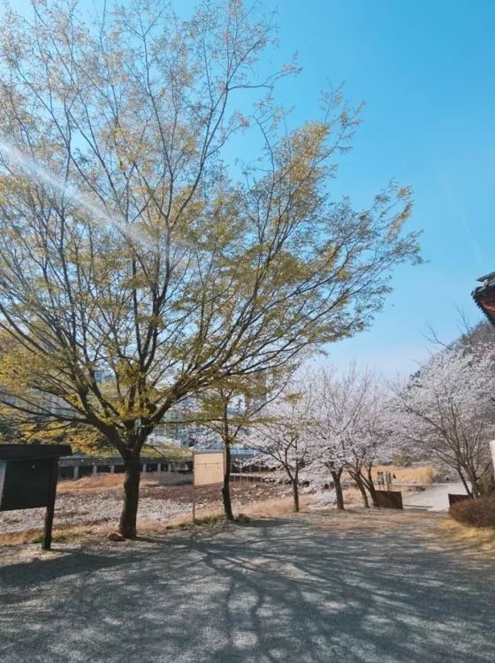 달성 봉안당, 덕안사 납골당 가격, 위치 상담 - 납골당 분양, 수목장/추모공원 안내, 가격비교