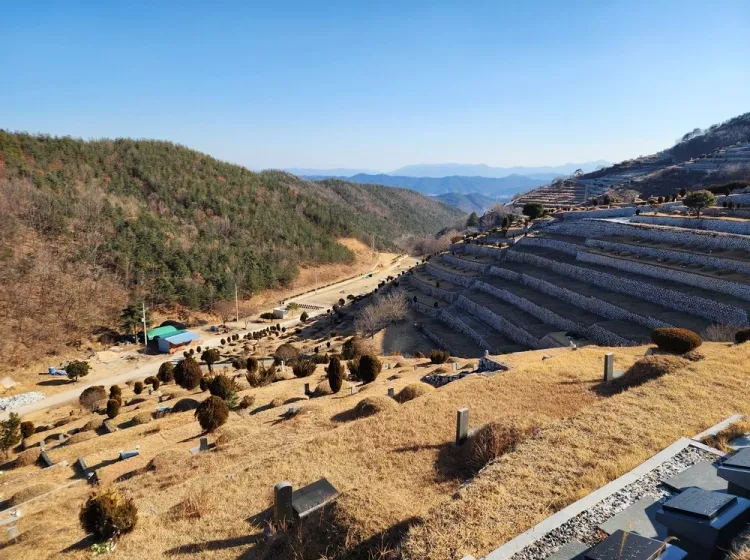 칠곡군 수목장 납골당 안내 - 납골당 분양, 수목장/추모공원 안내, 가격비교