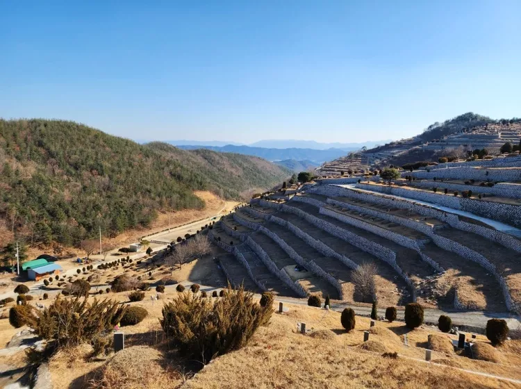칠곡군 수목장 납골당 안내 - 납골당 분양, 수목장/추모공원 안내, 가격비교