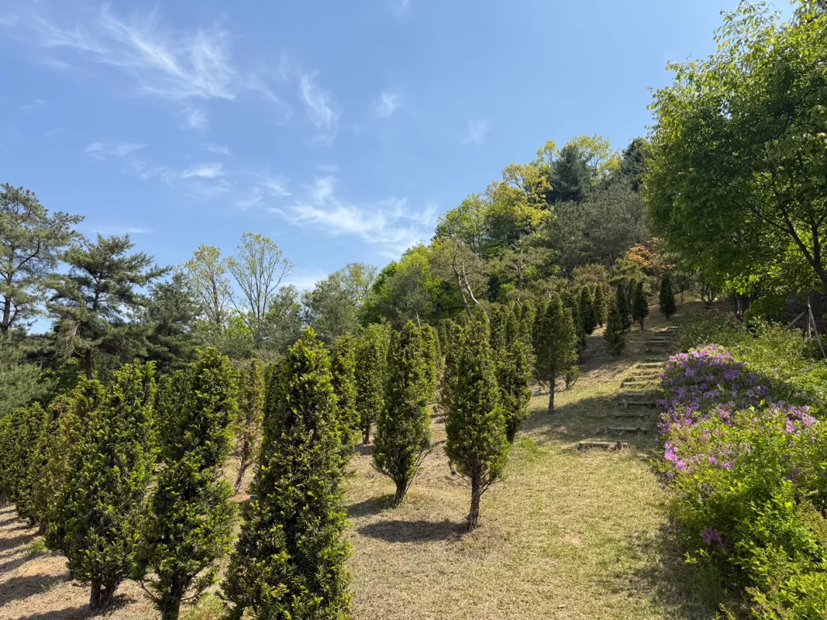 홍천 납골당, 위치 및 비용 상담비교