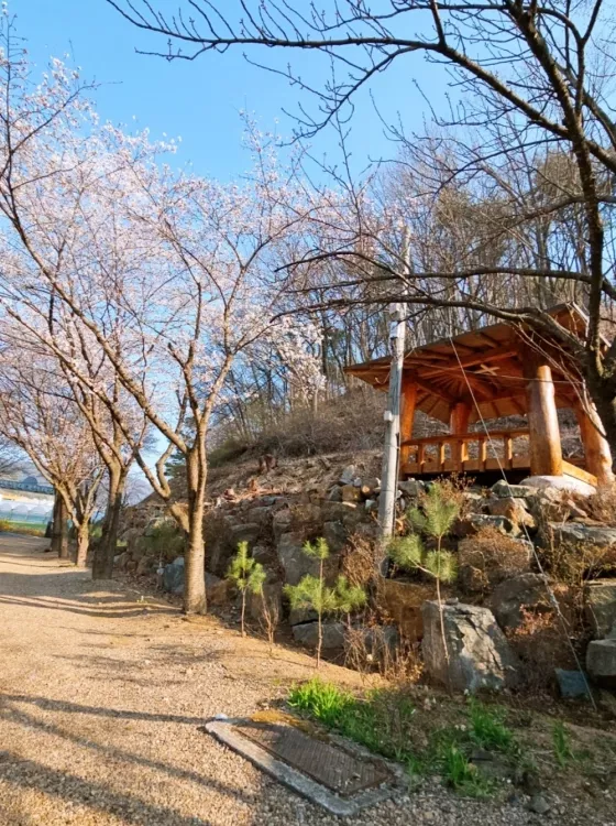 군위 실로암 봉안당, 실로암추모관 납골당 가격, 위치 상담 - 납골당 분양, 수목장/추모공원 안내, 가격비교
