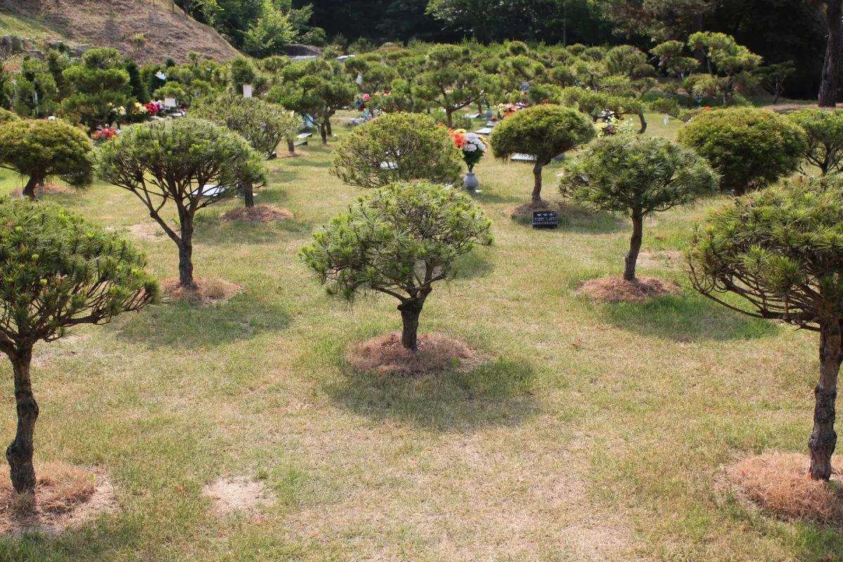 양평 수목장, 양평갈월공원 납골당 가격, 위치 상담 - 납골당 분양, 수목장/추모공원 안내, 가격비교