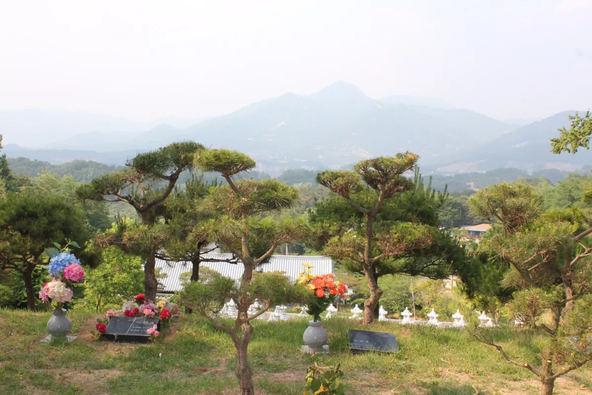 양평 수목장, 양평갈월공원 납골당 가격, 위치 상담 - 납골당 분양, 수목장/추모공원 안내, 가격비교