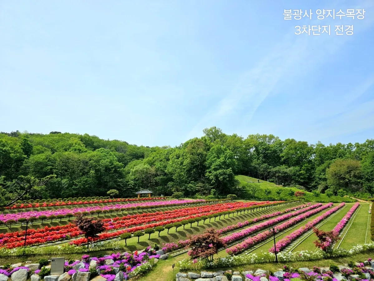 용인 불교 수목장, 불광사 양지수목장 납골당 가격, 위치 상담 - 납골당 분양, 수목장/추모공원 안내, 가격비교
