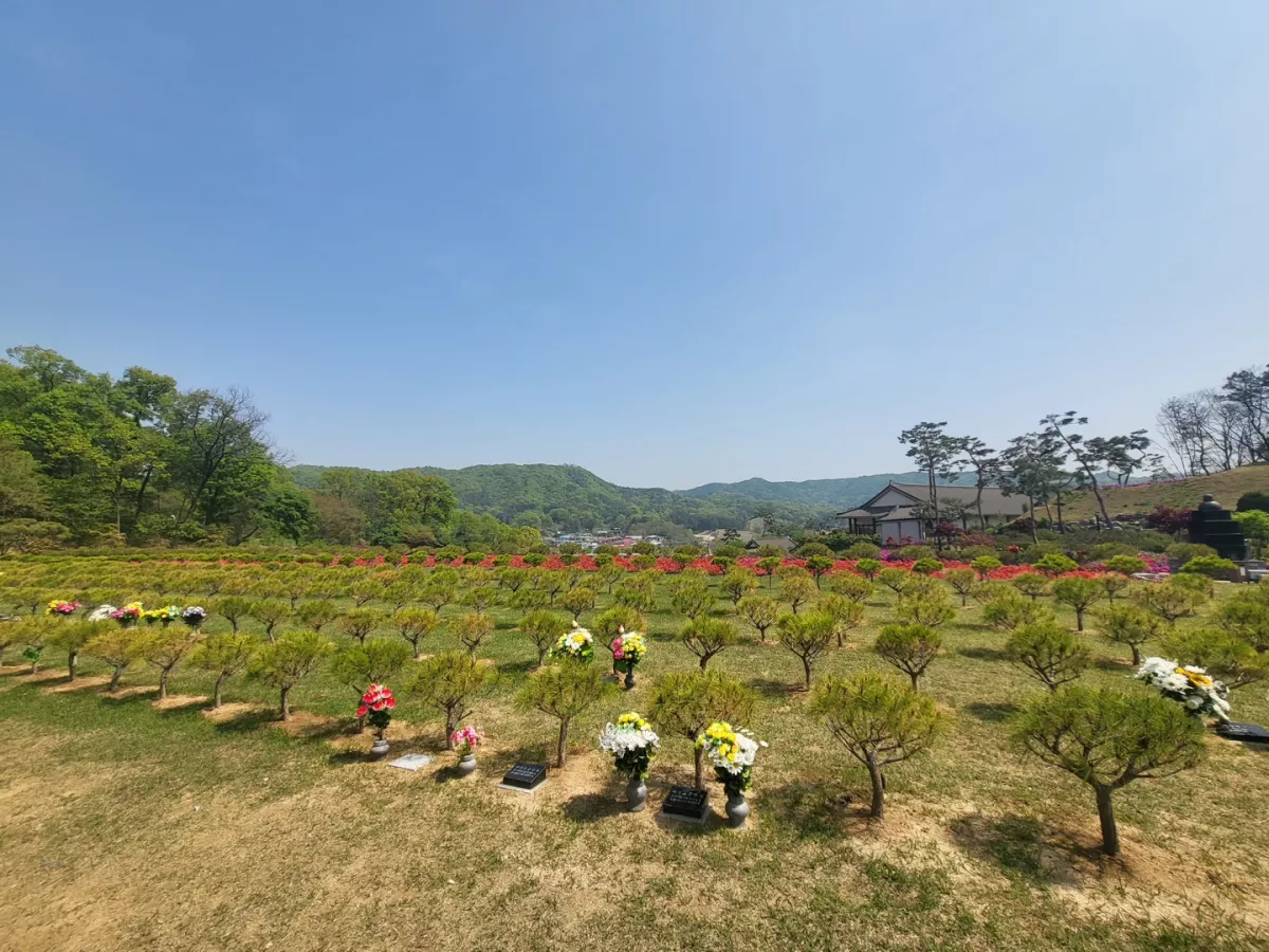 용인 불교 수목장, 불광사 양지수목장 납골당 가격, 위치 상담 - 납골당 분양, 수목장/추모공원 안내, 가격비교