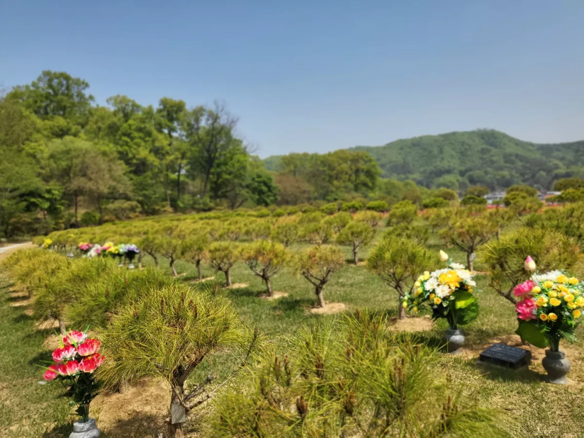 용인 불교 수목장, 불광사 양지수목장 납골당 가격, 위치 상담 - 납골당 분양, 수목장/추모공원 안내, 가격비교