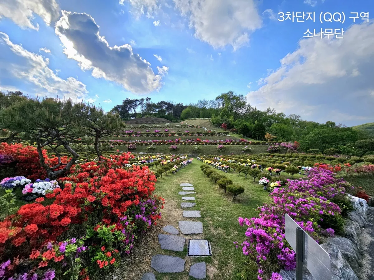 용인 불교 수목장, 불광사 양지수목장 납골당 가격, 위치 상담 - 납골당 분양, 수목장/추모공원 안내, 가격비교