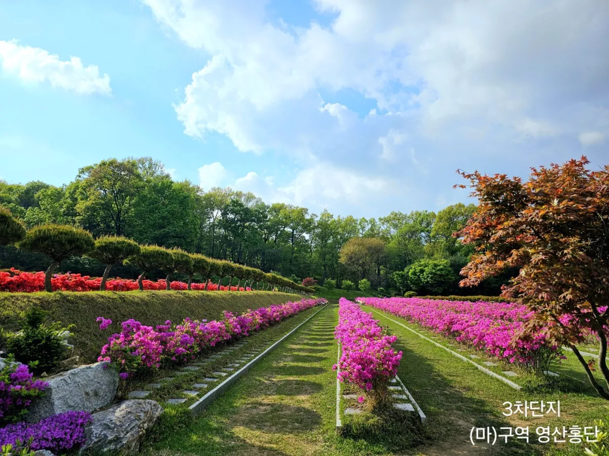 용인 불교 수목장, 불광사 양지수목장 납골당 가격, 위치 상담 - 납골당 분양, 수목장/추모공원 안내, 가격비교