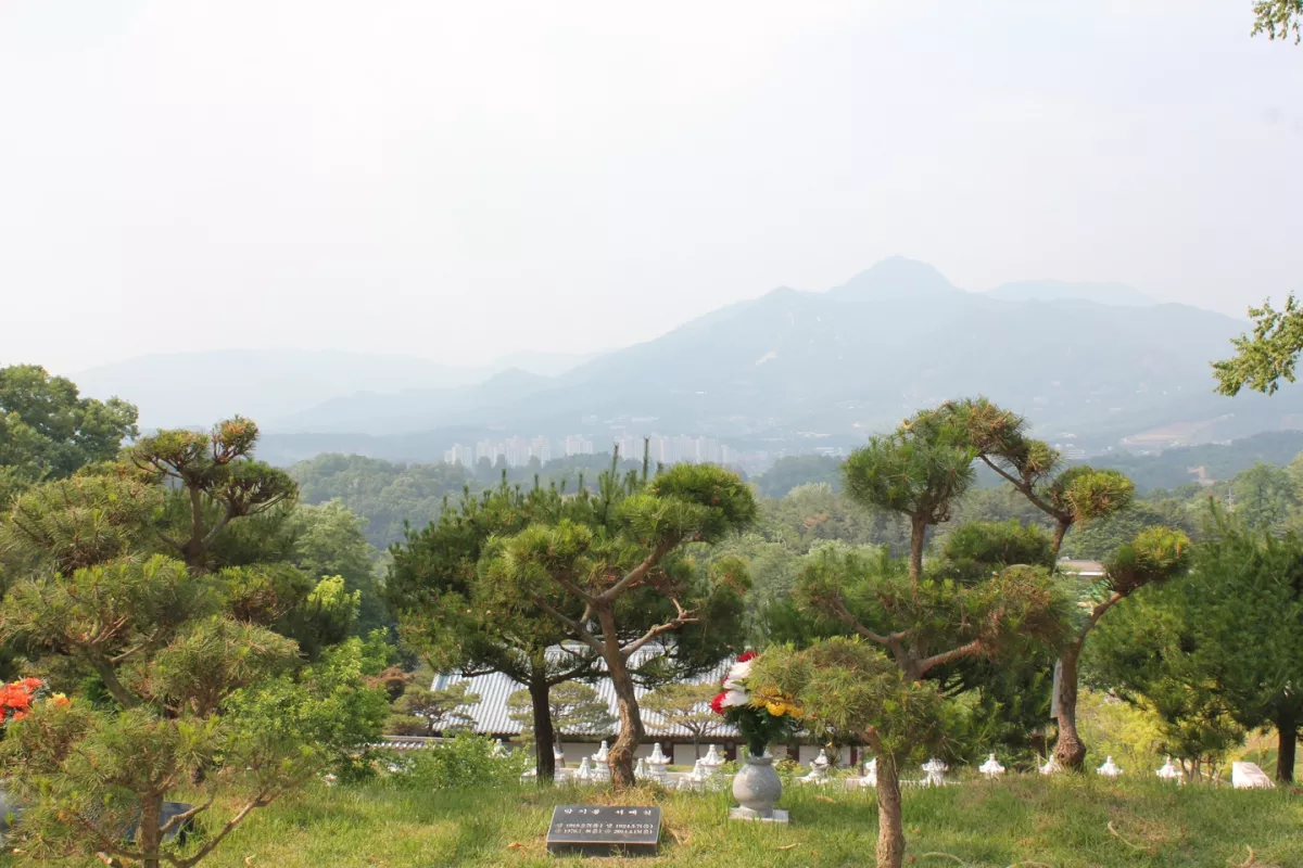 양평 수목장, 양평갈월공원 납골당 가격, 위치 상담 - 납골당 분양, 수목장/추모공원 안내, 가격비교