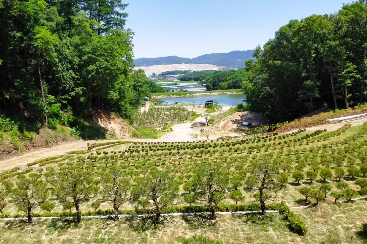 용인시수목장 납골당 위치 및 비용, 용인 가격 비교 및 추천